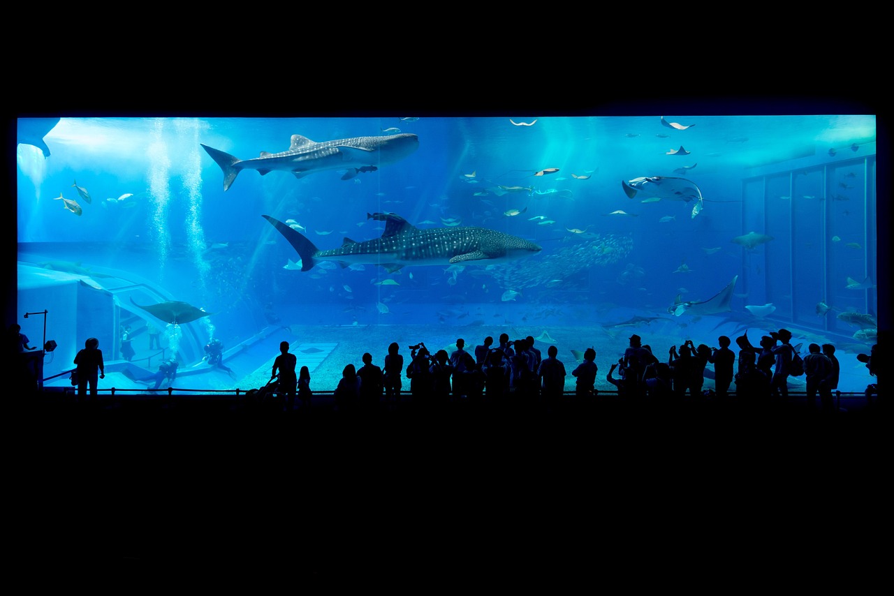 Oceanography & Marine Science